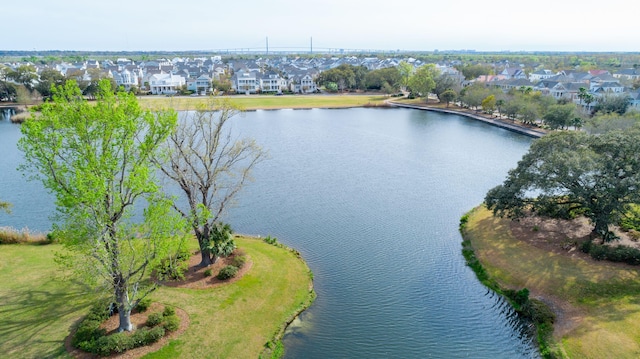 1407 Wando View St, Daniel Island, SC 29492 - aerial perspective of suburban area with a nearby body of water