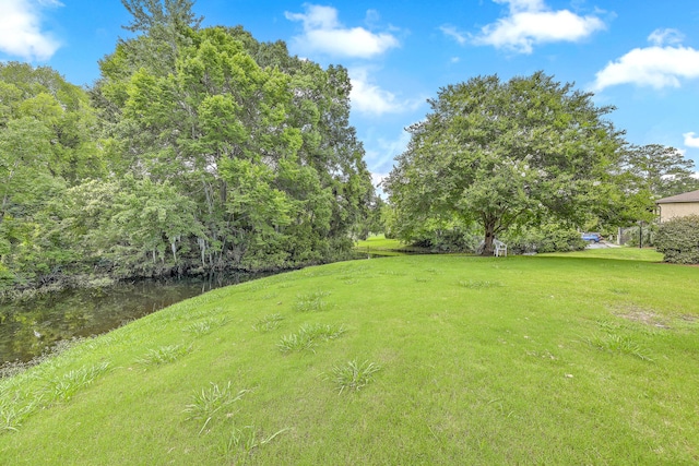 2174 Bees Ferry Rd Unit G, Charleston, SC 29414 - view of green lawn