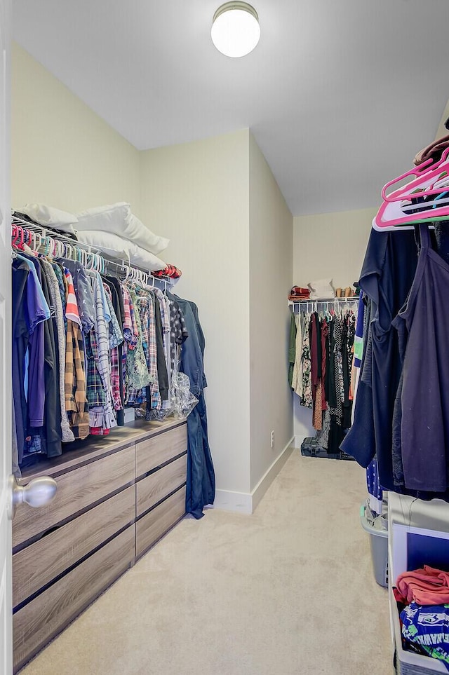 spacious closet with carpet flooring