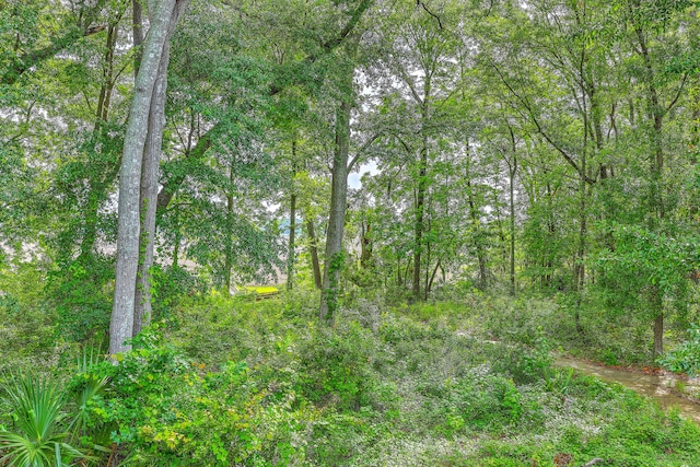 3152 Riverine, Charleston, SC 29414 - view of tree filled area