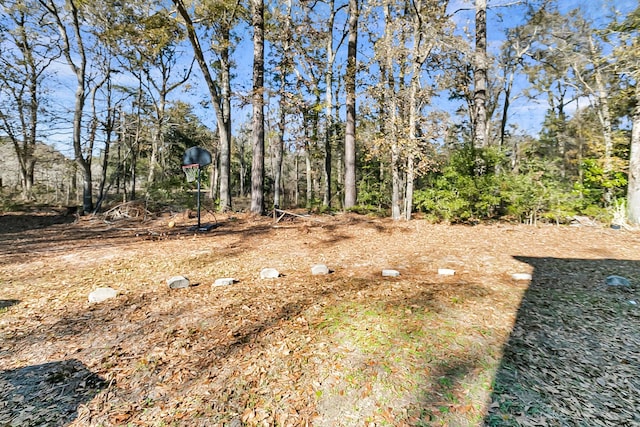 62 Wexford Way, Walterboro, SC 29488 - view of yard