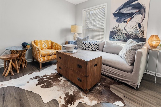 living room with dark hardwood / wood-style floors