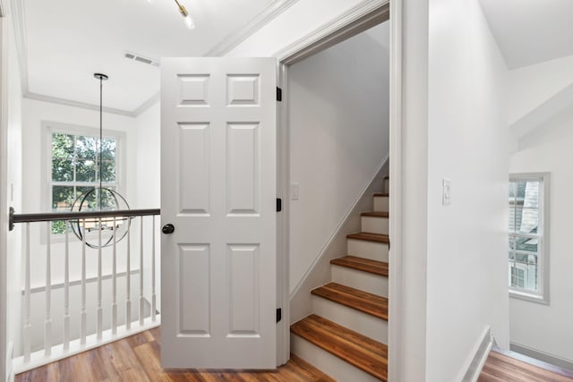 stairs with wood-type flooring, plenty of natural light, a notable chandelier, and crown molding