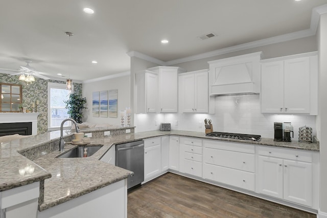 kitchen featuring ornamental molding, stainless steel appliances, premium range hood, a fireplace, and a sink