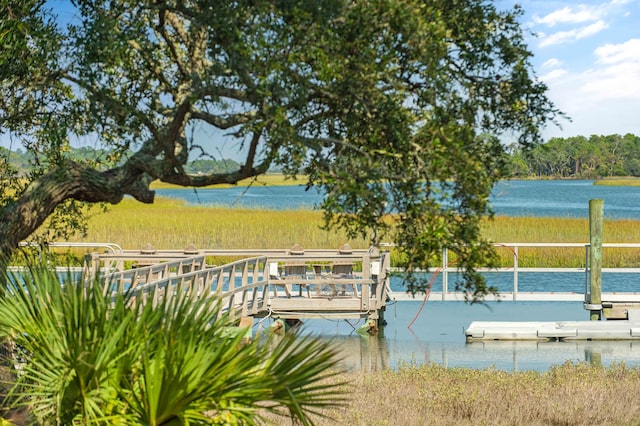 dock area with a water view