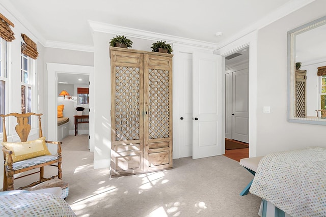 carpeted bedroom featuring ornamental molding and a closet