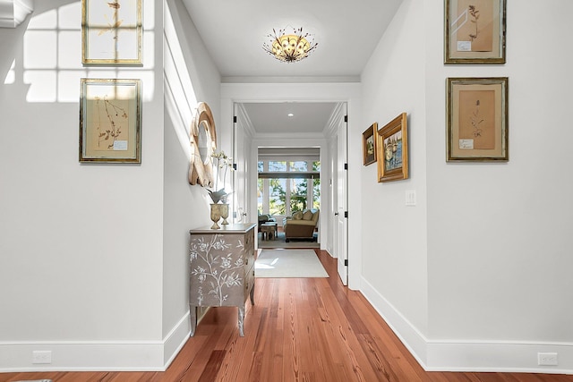 corridor with crown molding and hardwood / wood-style floors