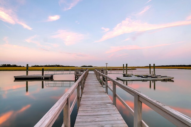 dock area with a water view