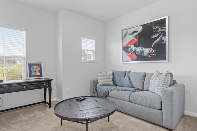 living room with light carpet