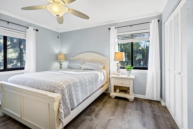 bedroom featuring ceiling fan, dark hardwood / wood-style flooring, a closet, and ornamental molding