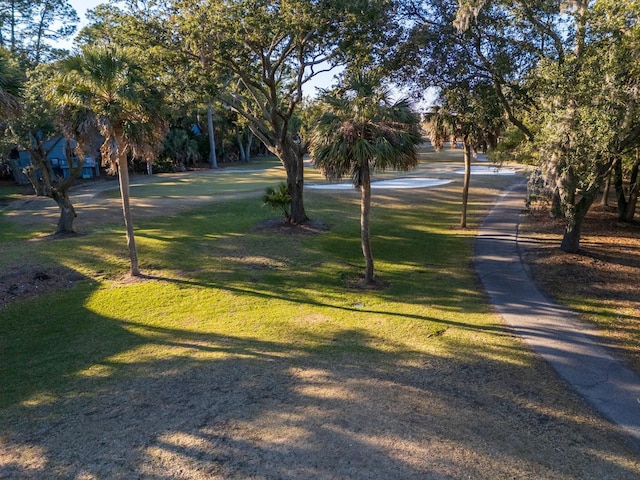 view of community with a lawn