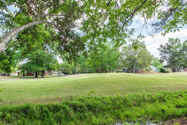 view of property's community featuring a yard