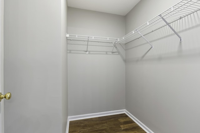 walk in closet with dark wood-type flooring