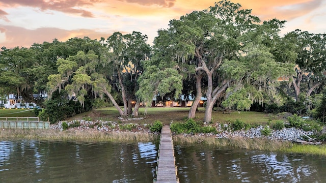1085 Harts Bluff Rd, Wadmalaw Island, SC 29487 - dock area featuring a water view and view of wooded area