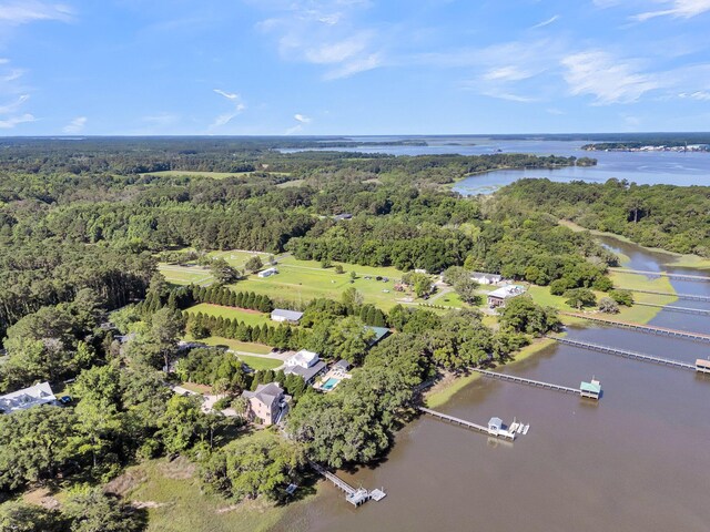 1085 Harts Bluff Rd, Wadmalaw Island, SC 29487 - aerial view of a heavily wooded area and a large body of water