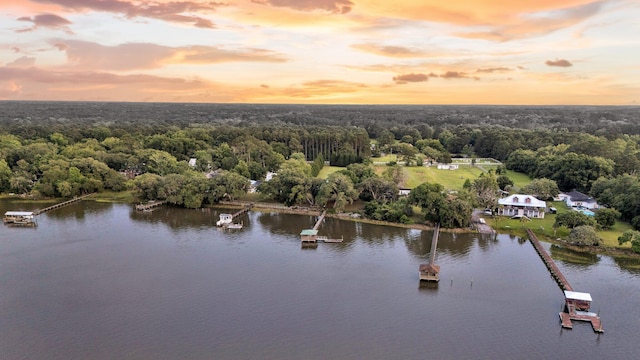 1085 Harts Bluff Rd, Wadmalaw Island, SC 29487 - drone / aerial view of a heavily wooded area and a large body of water