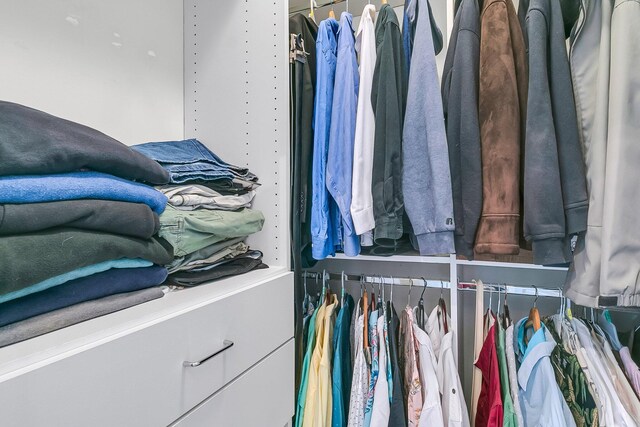 view of spacious closet
