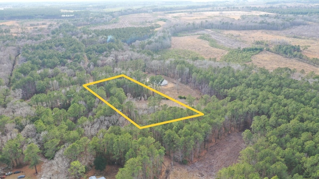 536 Bertha Ln, Huger SC, 29450 land for sale