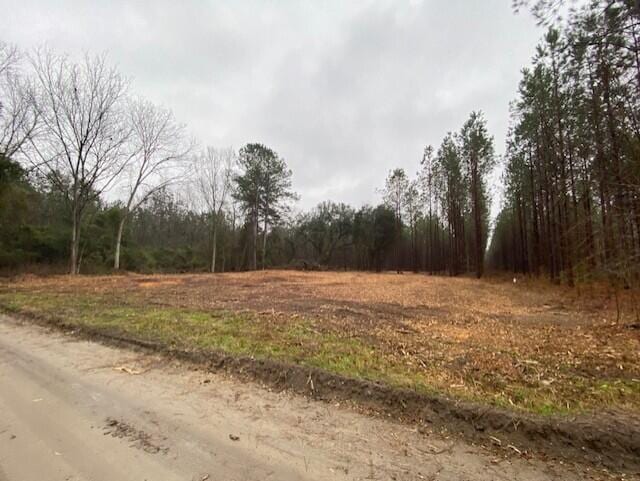 0 Weeping Cherry Ln, Manning, SC 29102