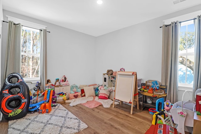 recreation room featuring hardwood / wood-style flooring