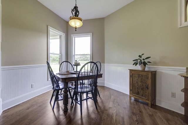 dining room with a wainscoted wall and dark wood-style floors