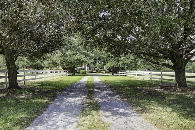 view of road with driveway