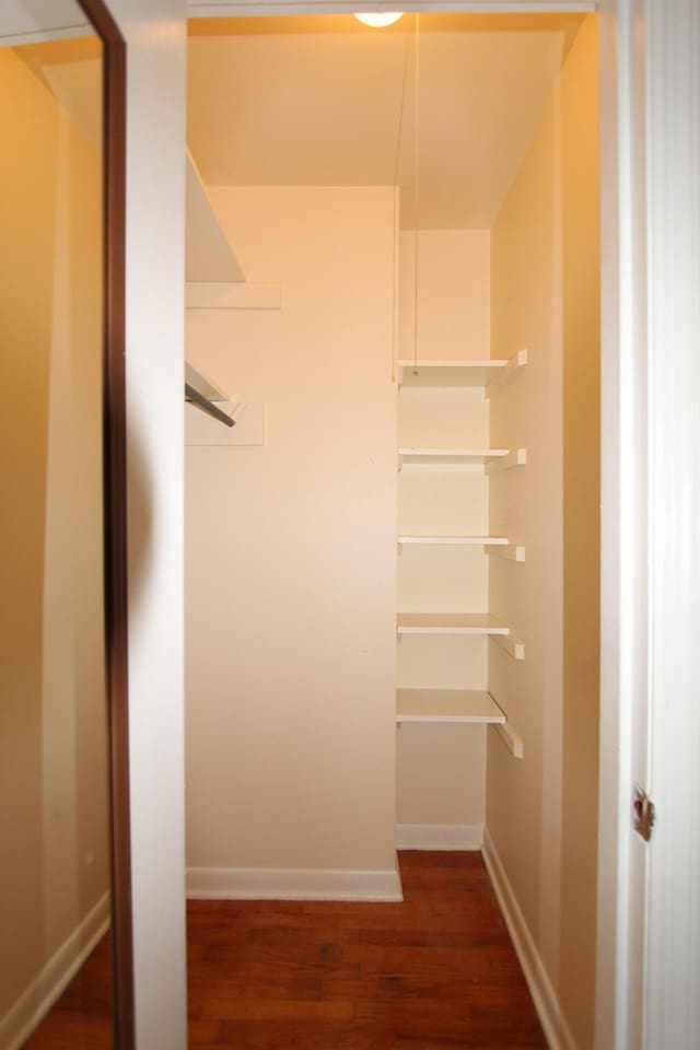 walk in closet featuring dark wood-style floors