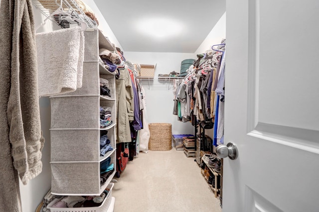 walk in closet with carpet flooring