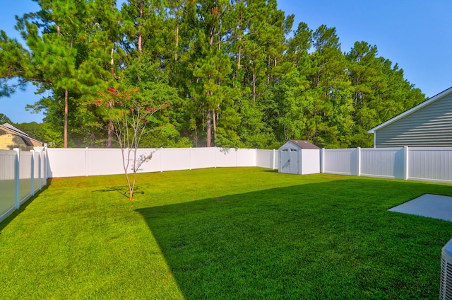 view of yard featuring a shed