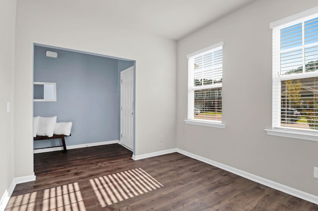 spare room with a wealth of natural light and dark hardwood / wood-style floors