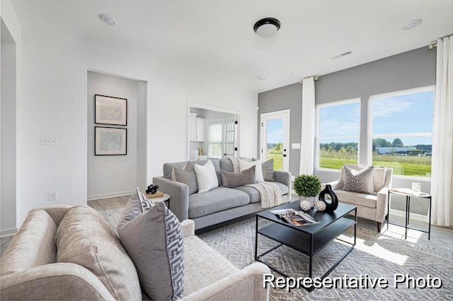 living room featuring light hardwood / wood-style flooring