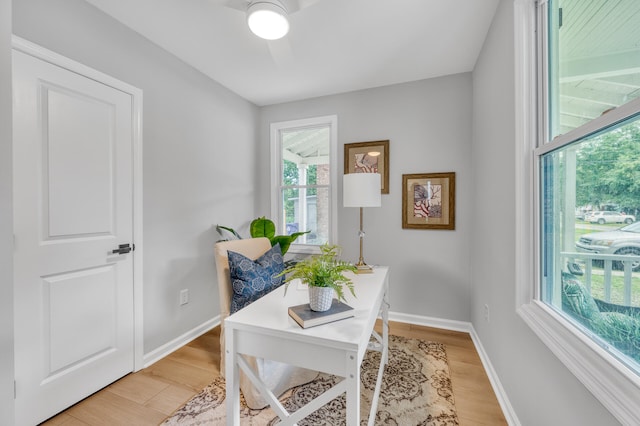 office area featuring ceiling fan and light hardwood / wood-style flooring