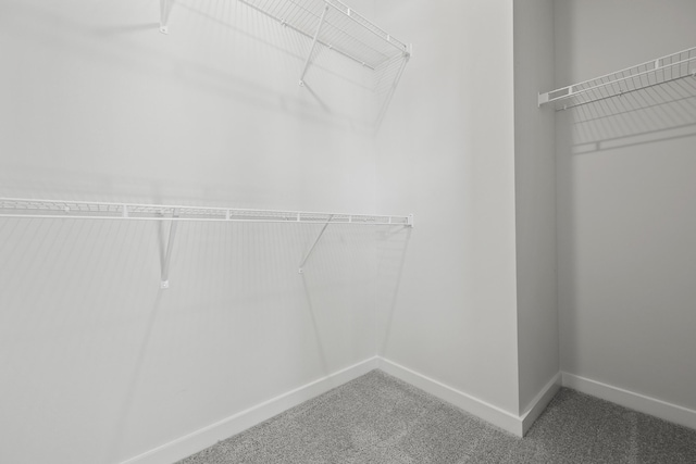564 Scholar Way, Summerville, SC 29486 - walk in closet with carpet flooring