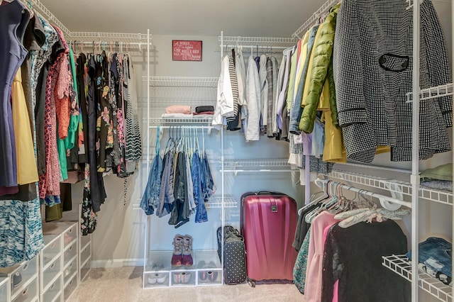 spacious closet with carpet flooring