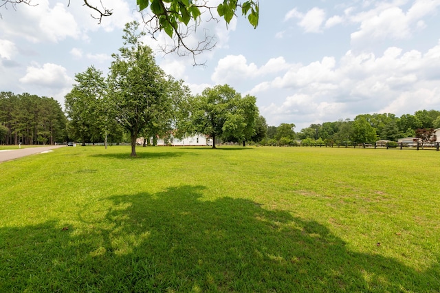 160 Syrr Run Rd, Saint George, SC 29477 - view of grassy yard