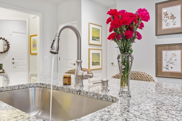 details featuring a sink and light stone counters