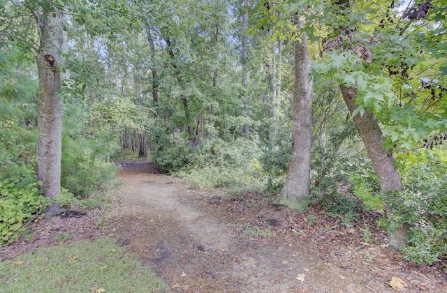 view of nature with a wooded view