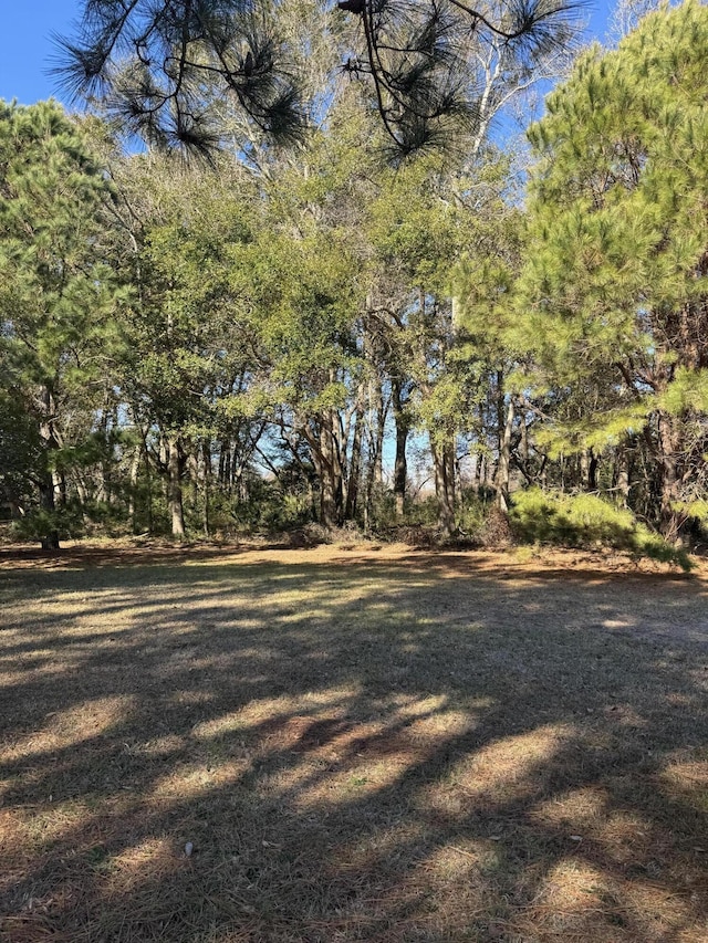 Listing photo 3 for 7983 Legare Rd, Edisto Island SC 29438