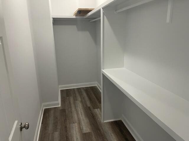 spacious closet featuring dark wood-type flooring