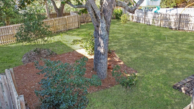 view of yard featuring a fenced backyard