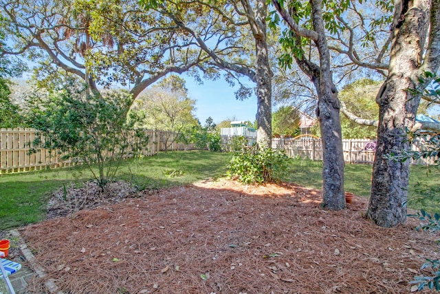 view of yard featuring a fenced backyard