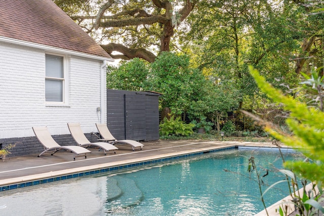 view of pool with a patio