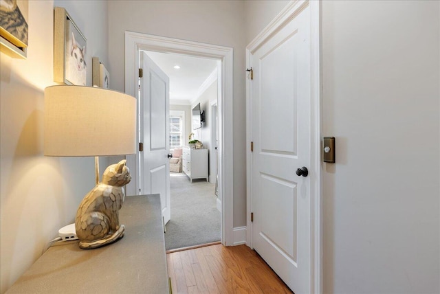 hall featuring crown molding and light hardwood / wood-style flooring