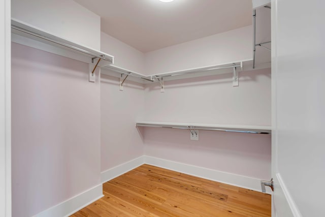 walk in closet with light wood finished floors