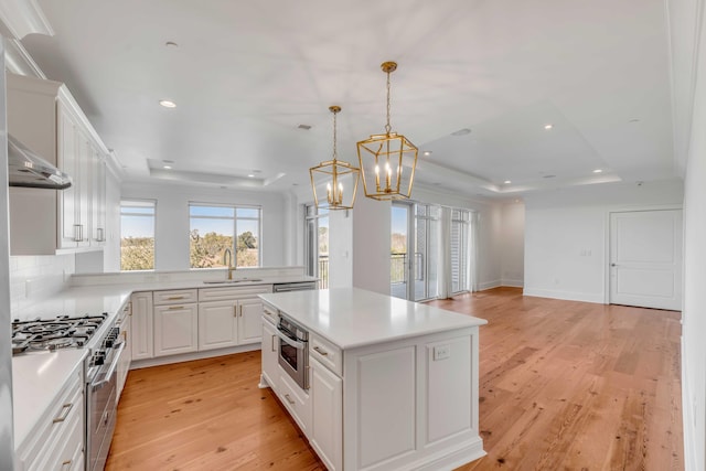 kitchen with light wood-style flooring, a sink, stainless steel appliances, white cabinets, and a raised ceiling