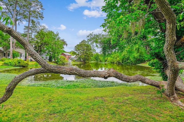 view of home's community with a lawn and a water view