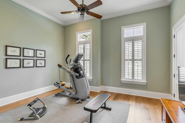 workout room featuring wood-type flooring, plenty of natural light, and crown molding