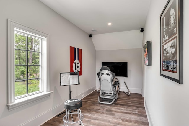 exercise area featuring lofted ceiling, wood-type flooring, and plenty of natural light