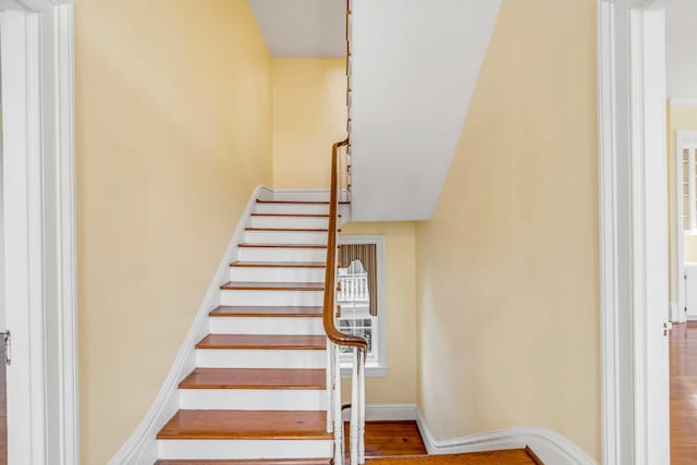 staircase featuring hardwood / wood-style flooring