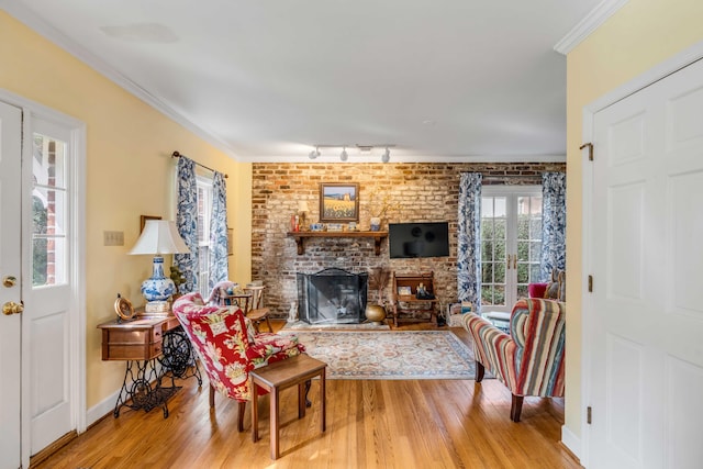 living room with french doors, ornamental molding, a fireplace, rail lighting, and light hardwood / wood-style flooring